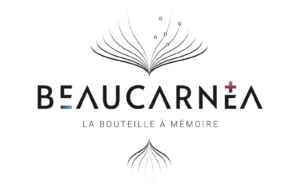 Beaucarnea Beaucarnea